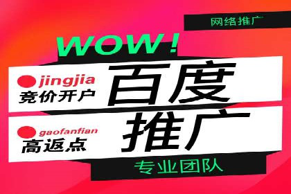 百度推广费用投入与用户转化路径的优化案例